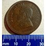 1 Penny, Zuid-Afrikaansche Republiek