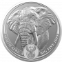 1oz South Africa, Big Five Elephant, 2019, Silver, Obverse