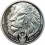 1oz R20, South Africa, 2019, Platinum, Lion, Reverse