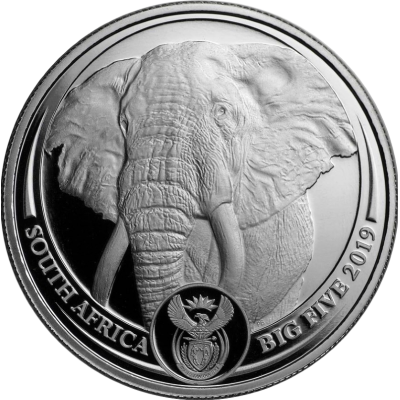 1oz R20, South Africa, 2019, Platinum, Big 5 - Elephant, reverse
