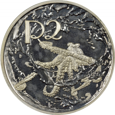 2 Rand, South Africa, 2000, Silver, Reverse, Proof - Octopus