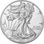1oz Silver American Eagle, USA, 2020, Silver Obverse