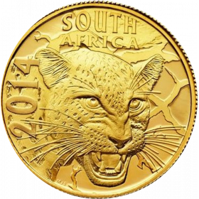 2014 Leopard, Prestige Set (4 coin set, 24 ct gold) - obverse