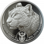 1oz R20, South Africa, 2020, Platinum, Big 5 - Leopard Obverse