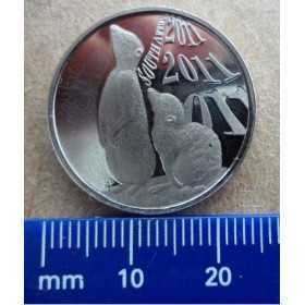 Meerkat, South Africa, 2011