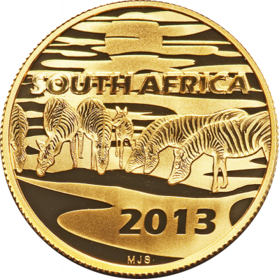 Natura - 2013 Zebra R100