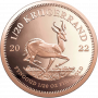 1/20 Krugerrand, South Africa, 2022 Gold Reverse