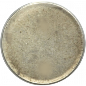 Threepence, Zuid-Afrikaansche Republiek, 1900, Silver - Blank Reverse