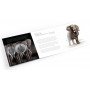 1oz South Africa, Big Five II Elephant, 2021, Silver Open book