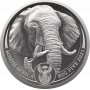 1oz R20, South Africa, 2021, Platinum, Big 5 - Elephant Obverse