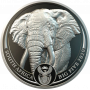 1oz R20, South Africa, 2020, Platinum, Big 5 - Elephant Obverse