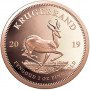 2oz Krugerrand, South Africa, 2019, Gold reverse