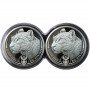 1oz, South Africa, 2020, Silver, Big Five I - Leopard, Double Capsule Obverse