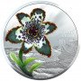 2017, Ferraria Crispa, Colored coin R5 Reverse