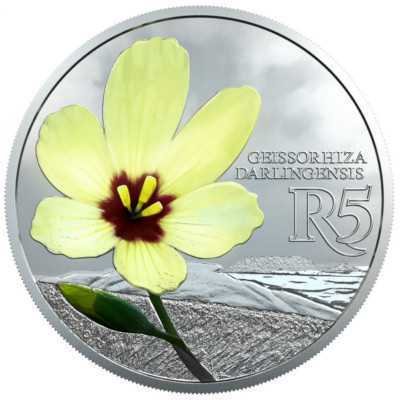 R5, 2017, Sterling Silver, Yellow Wine Cup Reverse