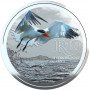 R10 ,South Africa, 2017, Sterling Silver - Reverse of Caspian Tern