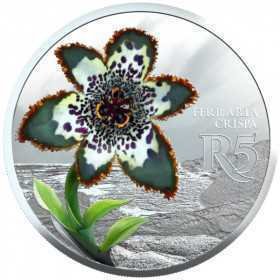 R5, 2017, Sterling Silver coin, Starfish Lily, Reverse