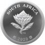 2020, South Africa, Tickey, Silver, Retinal Cryoprobe obverse