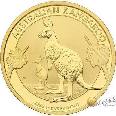 1oz, Australia, 2020, Gold - Kangaroo obverse