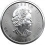 1oz, Canada, 2020, Platinum - Maple Leaf reverse