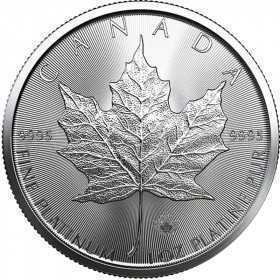 1oz, Canada, 2020, Platinum - Maple Leaf obverse