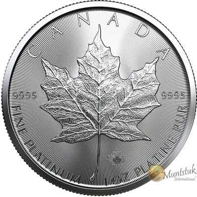 1oz, Canada, 2020, Platinum - Maple Leaf obverse
