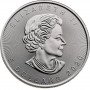 1oz, Canada, 2020, Silver - Maple Leaf obverse