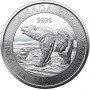 1/2oz, Canada, 2020, Silver - Polar Bear Reverse