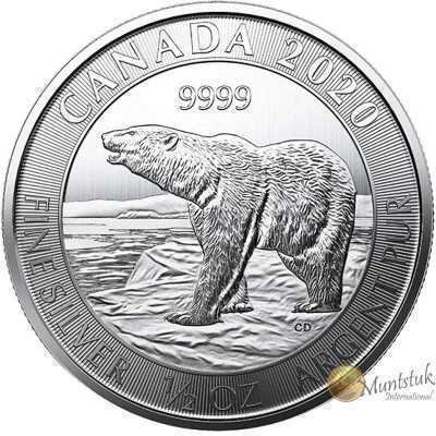 1/2oz, Canada, 2020, Silver - Polar Bear Reverse