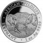 1oz, Somalia, 2020, Silver - Elephant reverse