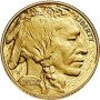 1oz, USA, 2020, Gold - Buffalo obverse