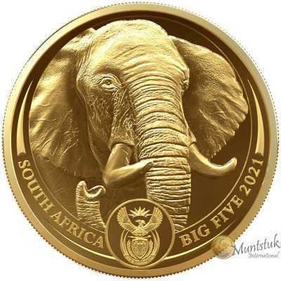 5 oz, South Africa, 2021, Gold, Big Five II - Elephant obverse
