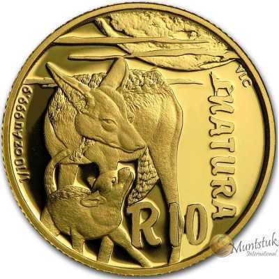 1/10, South Africa, 2015, Gold, Natura - Jackal