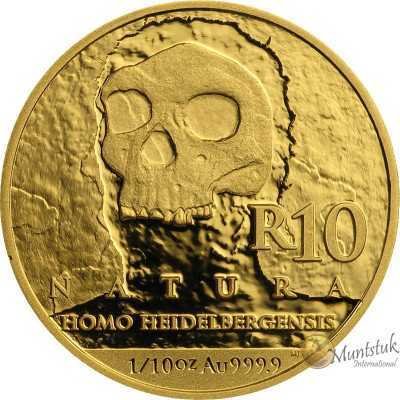 1/10 oz, South  Africa, 2019, Gold, Natura - Homo Heidelbergensis reverse