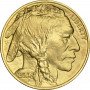 1 oz, USA, 2006, Gold - American Buffalo obverse