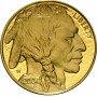 1 oz, USA, 2007, Gold - American Buffalo obverse