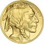 1 oz, USA, 2009, Gold - American Buffalo obverse