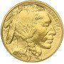 1 oz, USA, 2010, Gold - American Buffalo obverse