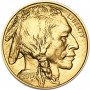 1 oz, USA, 2014, Gold - American Buffalo, obverse