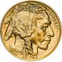 1 oz, USA, 2016, Gold - American Buffalo obverse