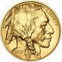 1 oz, USA, 2019, Gold - American Buffalo, obverse