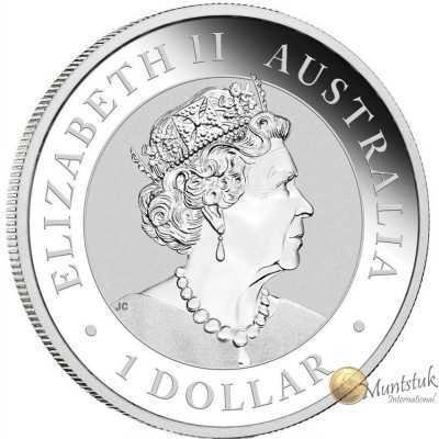 1oz, Australian, 2020, Silver - Koala Obverse