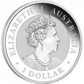 1oz, Australian, 2021, Silver - Koala Obverse