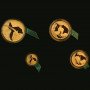Natura - 2001 The Oryx, Prestige Set (4 coin set, 24 ct gold)