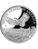 1 oz, USA, 2000, Platinum(Proof) - Eagle reverse