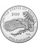 1 oz, USA, 2019, Platinum - Eagle(Proof) reverse