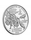 1 oz, USA, 2022, Platinum - Eagle(Proof) obverse edge/angle