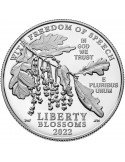 1 oz, USA, 2022, Platinum - Eagle(Proof) obverse