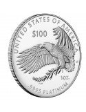 1 oz, USA, 2020, Platinum - Eagle(Proof) reverse angle/edge