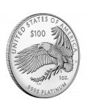 1 oz, USA, 2021, Platinum - Eagle(Proof) reverse angle/edge